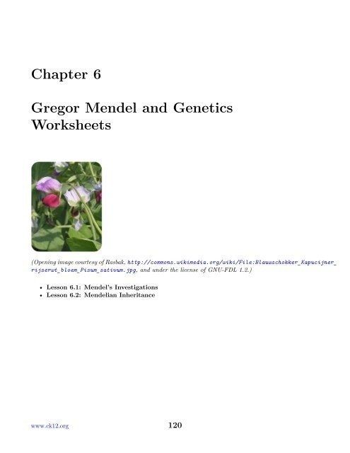 Gregor Mendel The Father Of Genetics Worksheets Answers 8747