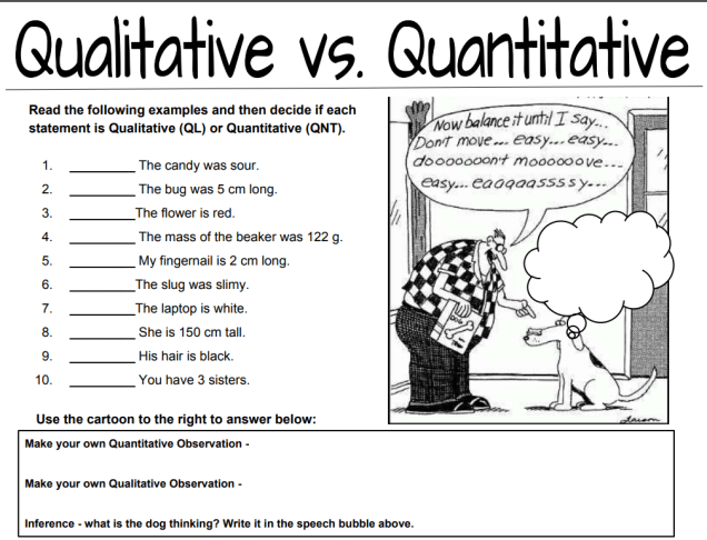 qualitative-and-quantitative-worksheets-middle-school-worksheets-master