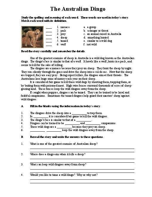 The Second Grade Printable English Worksheets For Middle School