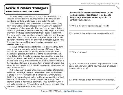 Active And Passive Transport