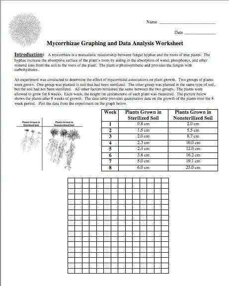 Here New Freebie For You Graphing Worksheets Science Data High