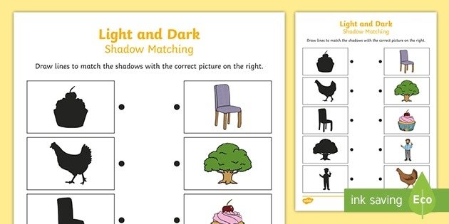 Light And Dark Shadow Matching Worksheet Teacher Made