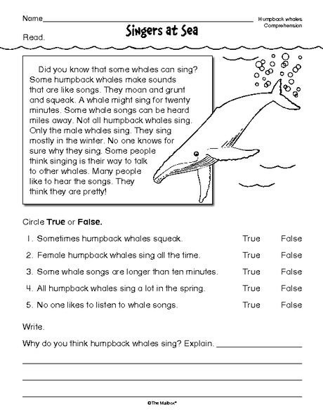 Reading Worksheet Comprehension Whales
