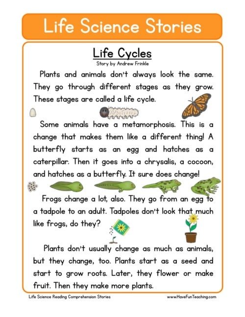 Plants Worksheets Have Fun Teaching Plant For Rd Grade Life