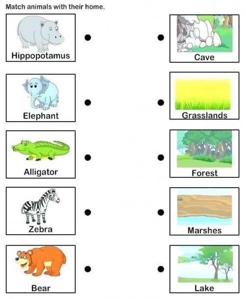 Animal Habitat Worksheets For Kindergarten