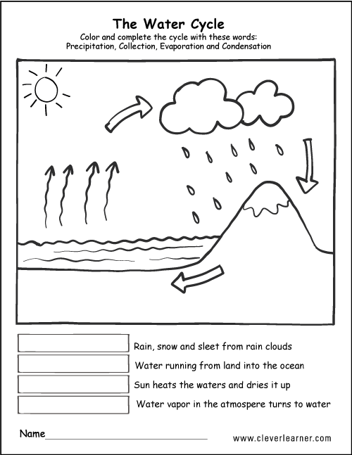 Copy Of Water Cycle