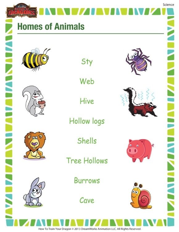 Homes Of Animals Free Printable Science Worksheet For St Grade
