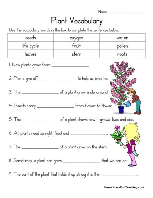 Plants Worksheets Have Fun Teaching Free Science On For Grade