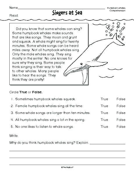 Th Grade Reading Worksheets With Images