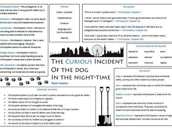 The Curious Incident Of The Dog In The Night