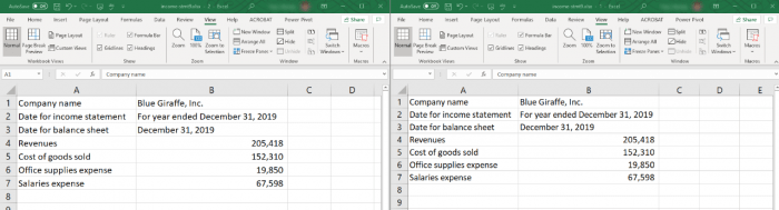 View And Edit  Worksheets In The Same Workbook Side By Side