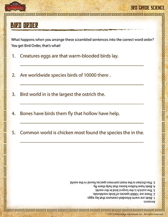 Bird Order View  Printable Rd Grade Science Worksheets