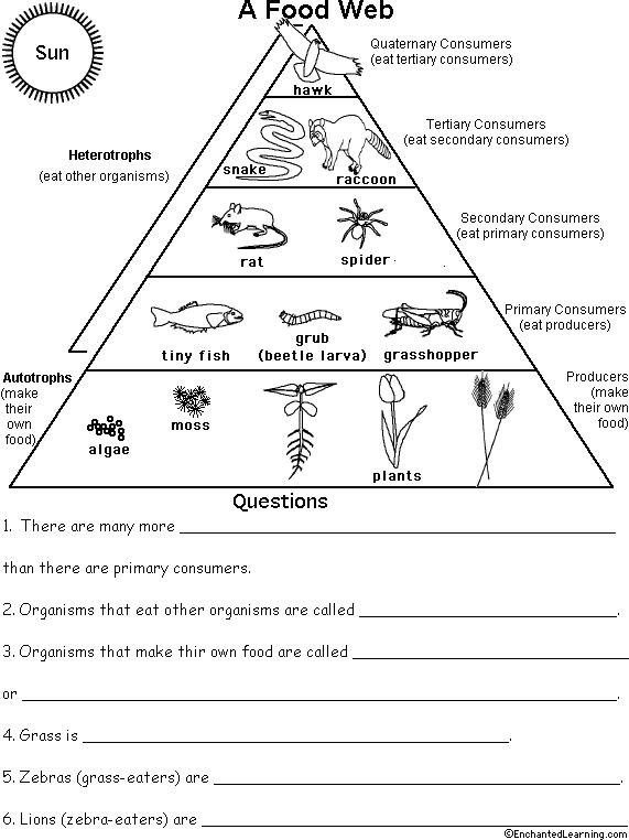 ecology-worksheets-for-high-school-worksheets-master