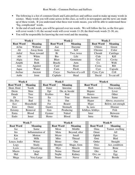 Root Words  Common Prefixes And Suffixes  The Following Is A