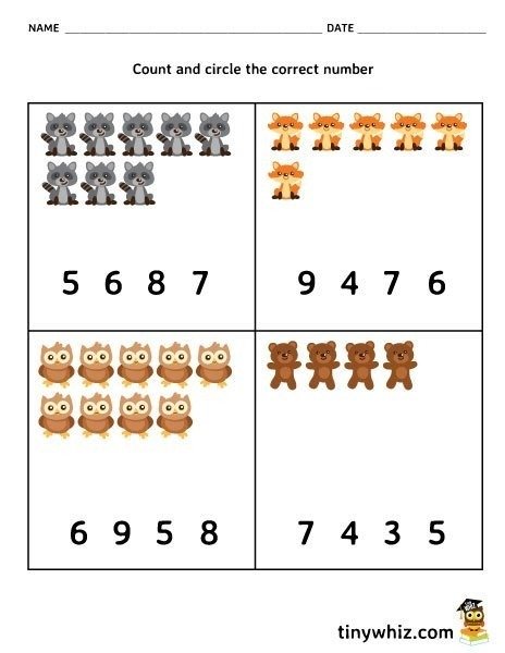 Worksheet  Math Free Counting Worksheet For Pre K And