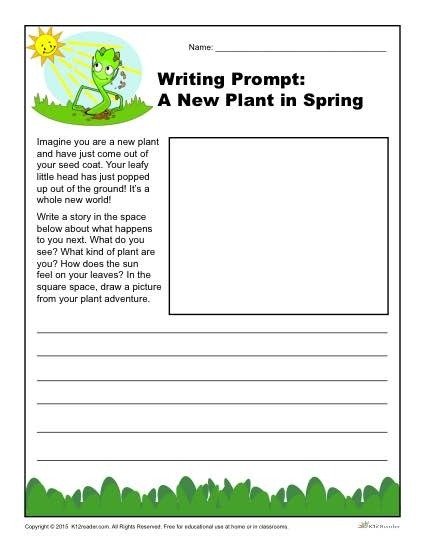 A New Plant In Spring Writing Prompt For Rd  Th And Th Grade