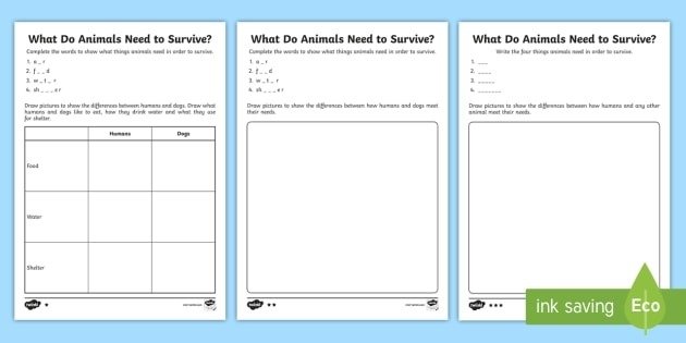 Ks What Do Animals Need To Survive Differentiated Activity Sheets
