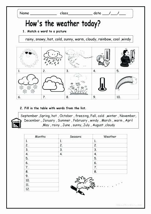 Weather Worksheets For Second Grade Esl Weather Worksheets