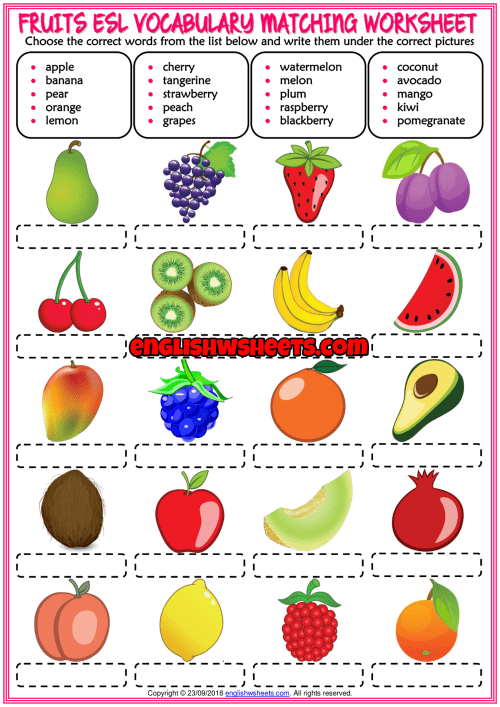 Fruits Esl Vocabulary Matching Exercise Worksheet For Kids